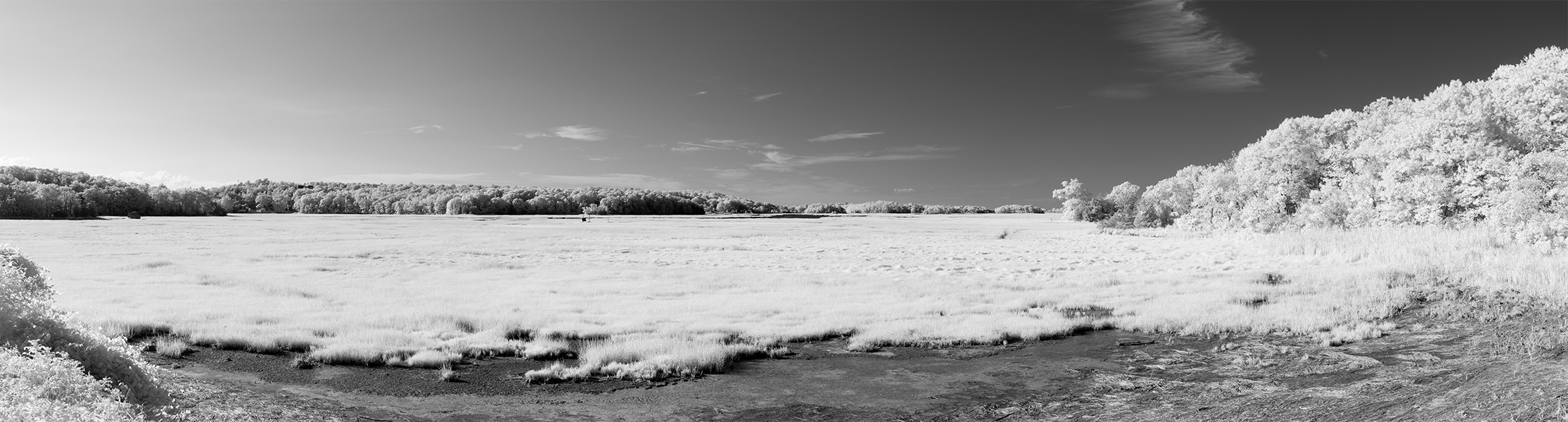 Infrared Panoramic Photo of Seamarsh and Higher Ground.
